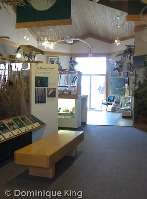 Maumee Bay Nature Center OH